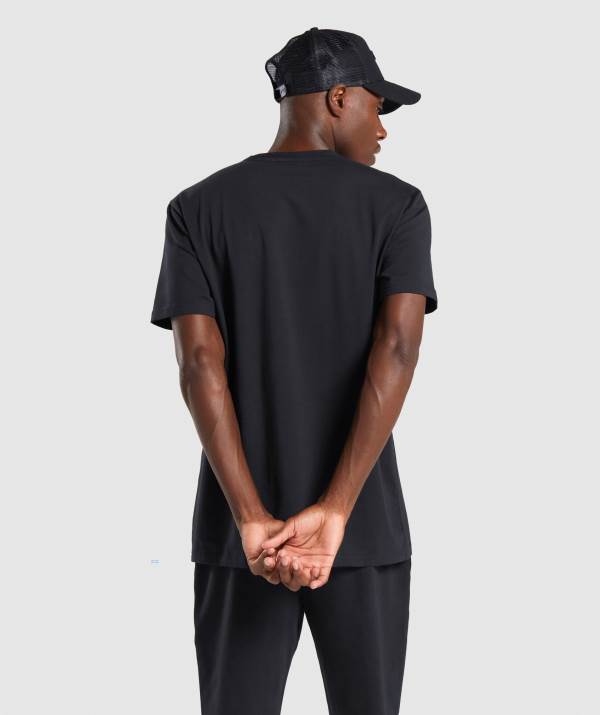 Panske Tricka Gymshark Critical Regular Fit Čierne | MG4207381
